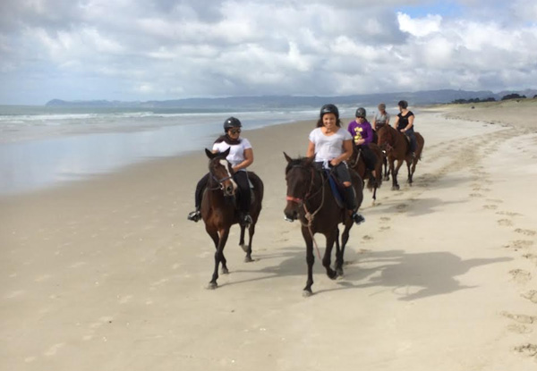 One-Hour Beach Horse Trek for One Adult - Options Available for a Child & Two-Hour Intermediate Trek