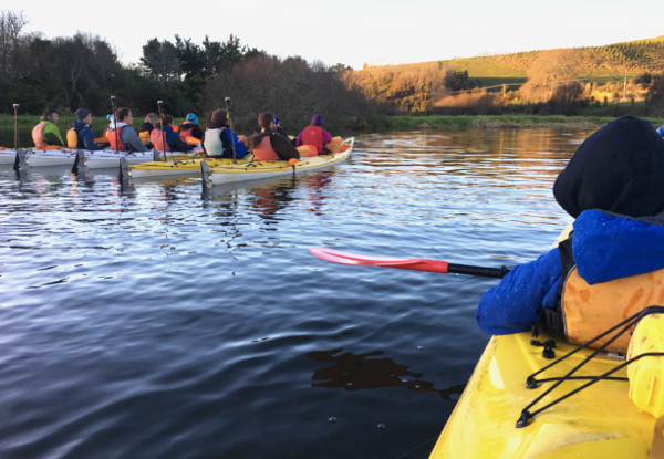 Three-Hour Glow Worm Adventure Kayak Trip - Option for Adult or Child