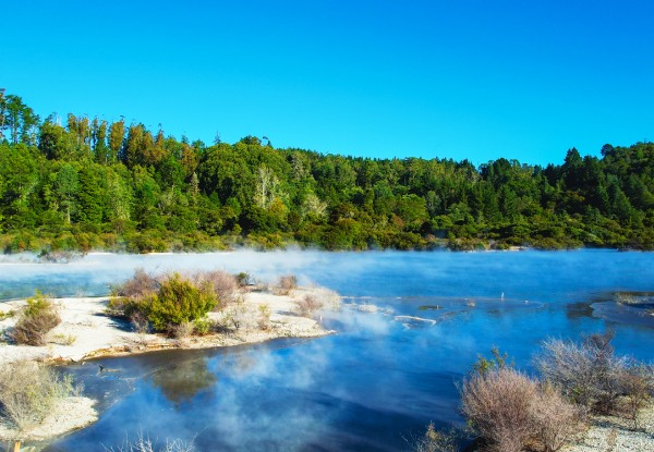 Family Pass to Whakarewarewa The Living Māori Village incl. One Hangi Pie Per Person – Option for Adult or Child Single Entry