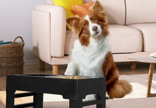 Pawz Elevated Adjustable Pet Feeder - Two Options Available