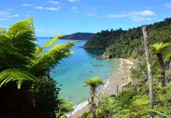15-Night Luxury Christmas Cruise Sydney to Auckland - 15-Night Seabourn Quest Cruise Sydney to Auckland