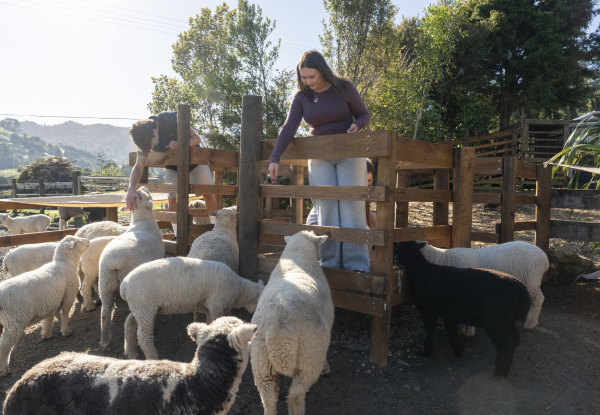 Bullswool Heritage Farm Admission incl. Native Bird Reserve & Museum Access for One Adult - Option for Family of Five