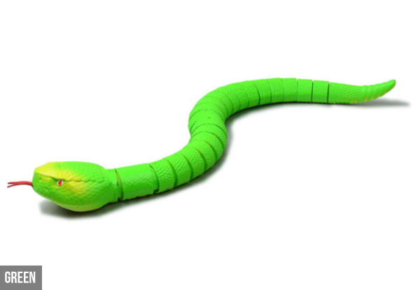 Remote Control Snake - Four Colours Available