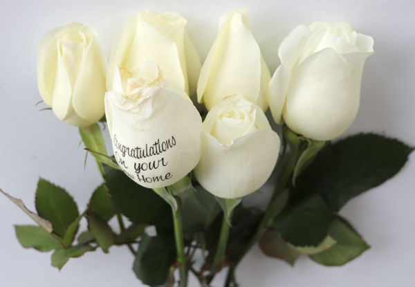 Six or Twelve Celebration Bouquet of Roses with any Custom or Standard Printed Message on One or Two Roses incl. Free Auckland Delivery - Choose from Four Different Colours