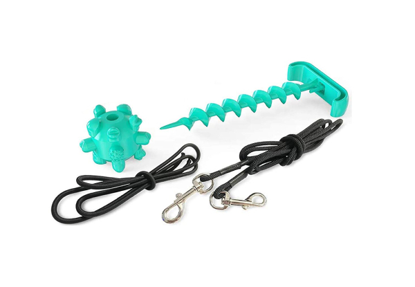 Two-in-One Outdoor Dog Toy with Tie Out Stake Molar Ball