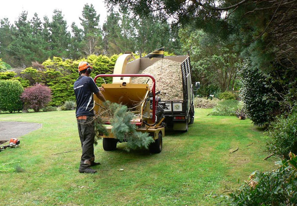 $160 for a $315 Specialist Outdoor Services Voucher – Valid for Arborist Work, Pruning, Landscaping & More