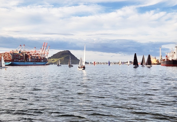 Three-Hour Sunday Afternoon Tauranga Scenic Harbour Cruise for One Adult - Option for Child & Infant