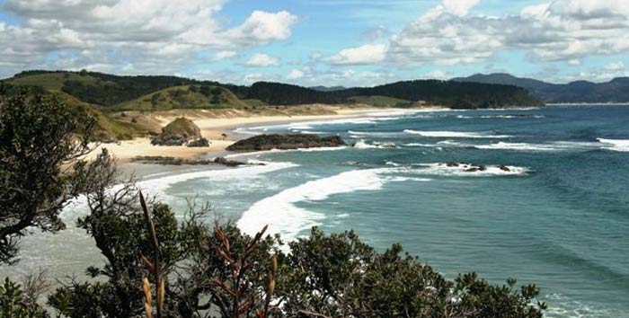 Grabone deals taranaki