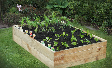 44 off a raised garden bed kit incl delivery grabone 44 off a raised garden bed kit incl delivery grabone